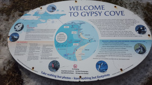 Bienvenidos a Gypsy cove!