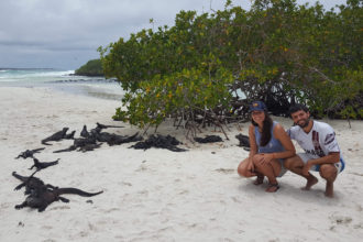 Iguanas marinas en Isla Santa Cruz