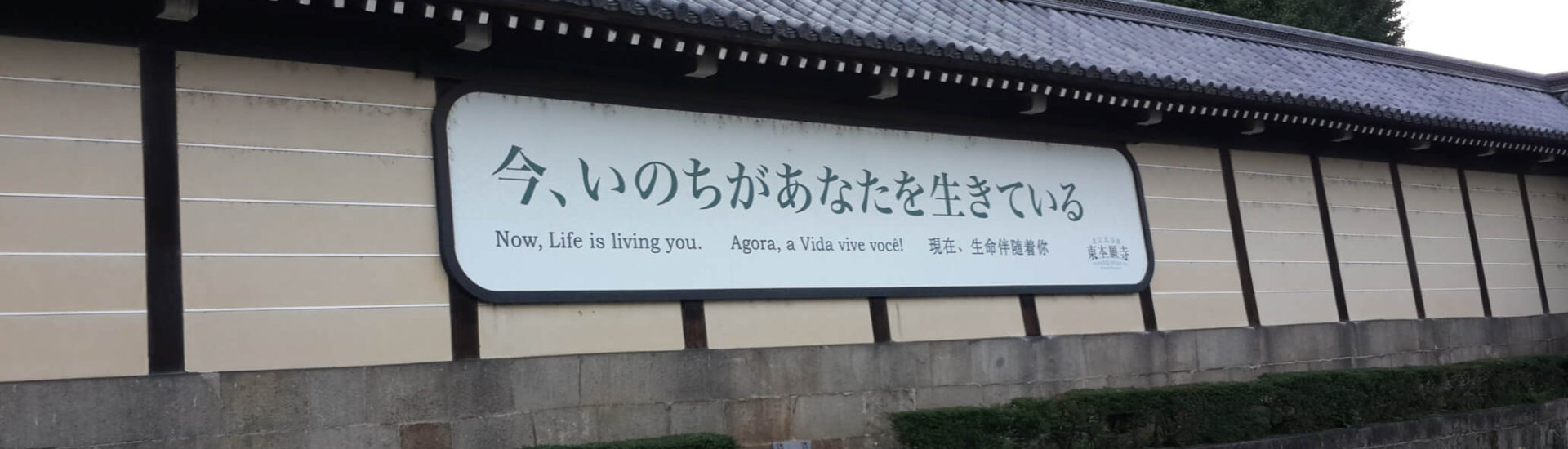 Ahora la vida te vive. Kyoto